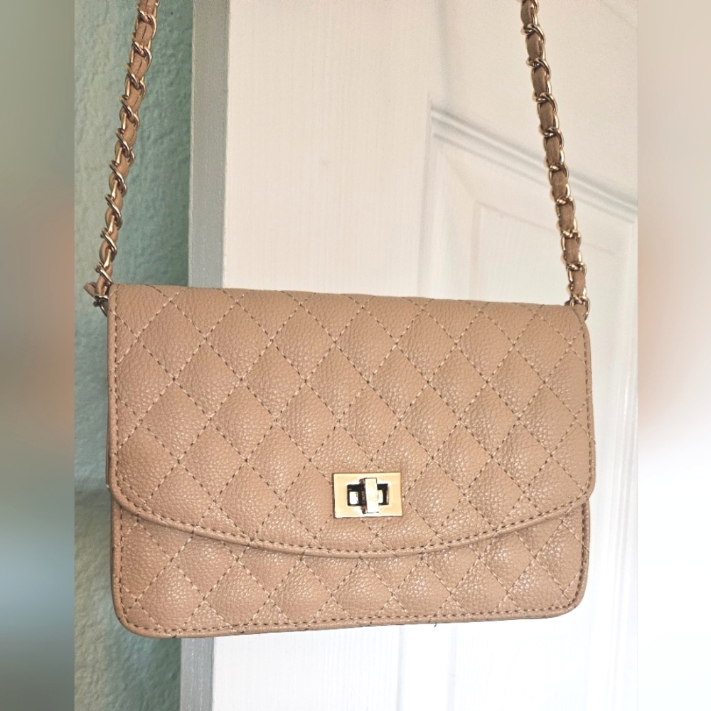 Clutch / Shoulder Bag